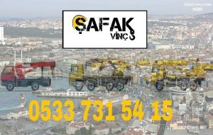 kadıköykiralıkvinç